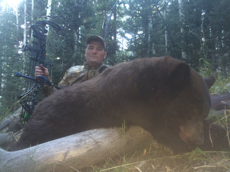 black bear bow hunting wyoming