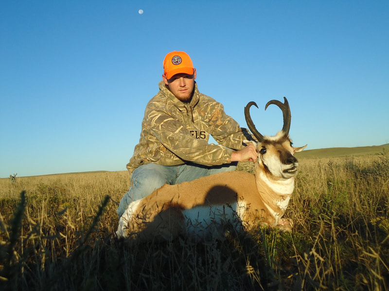 Wyoming pronghorn antelope outfitters