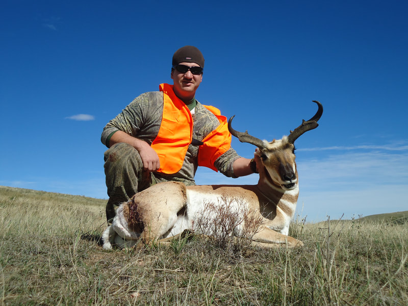 guided antelope hunts wyoming