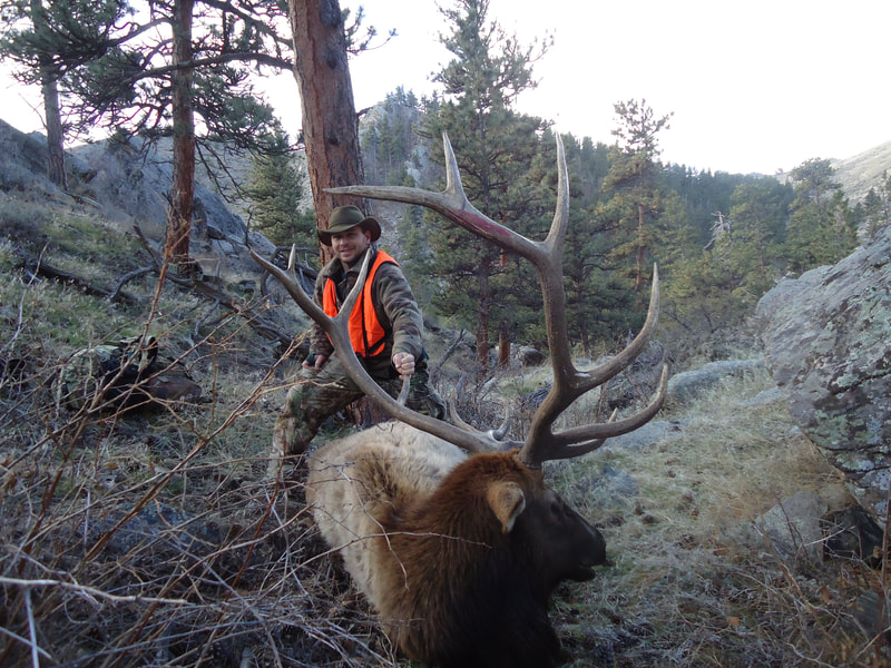 wyoming elk hunts