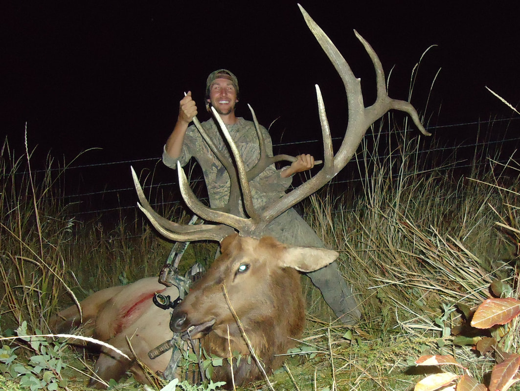 Trophy archery elk hunts Wyoming