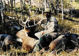 elk bow hunts
