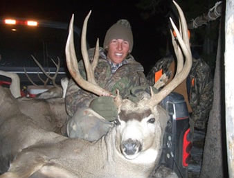 huge mule deer buck wy