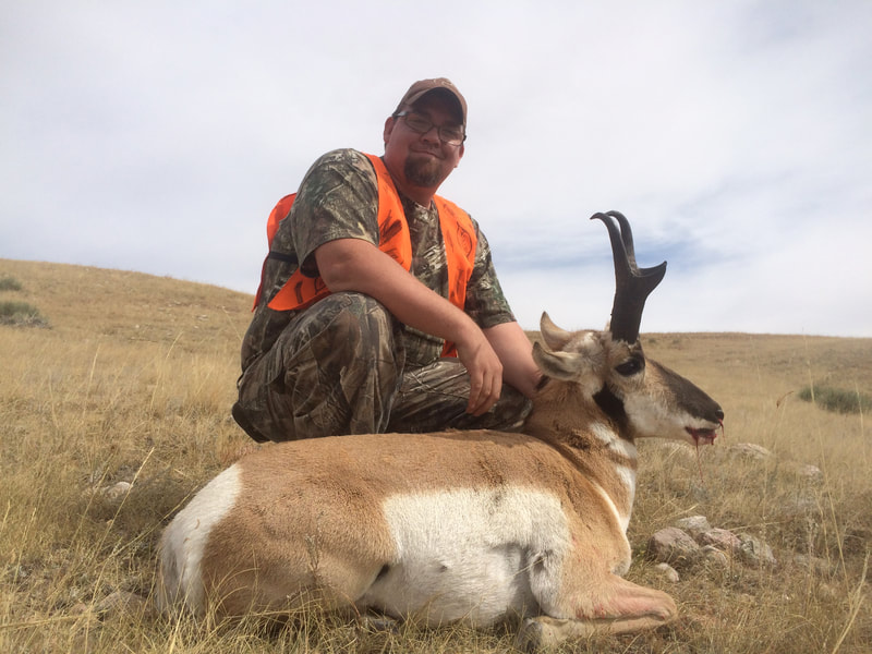pronghorn_antelope_wyoming_outfitter
