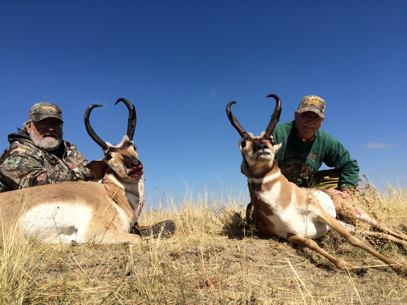antelope hunting Wyoming
