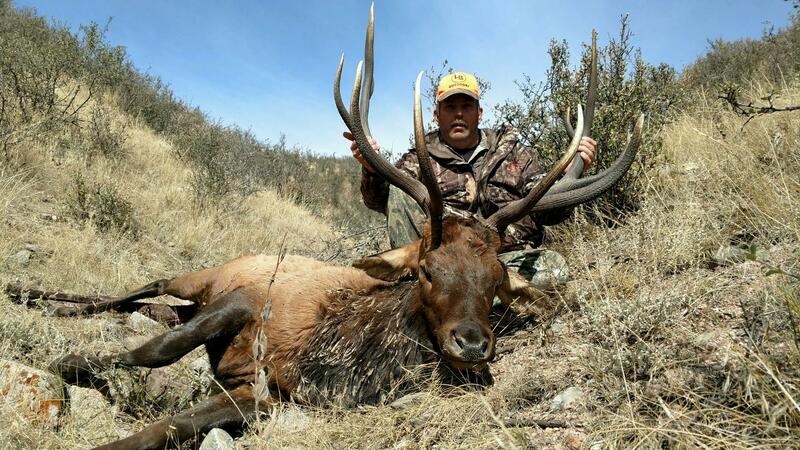 wyoming outfitter elk hunts
