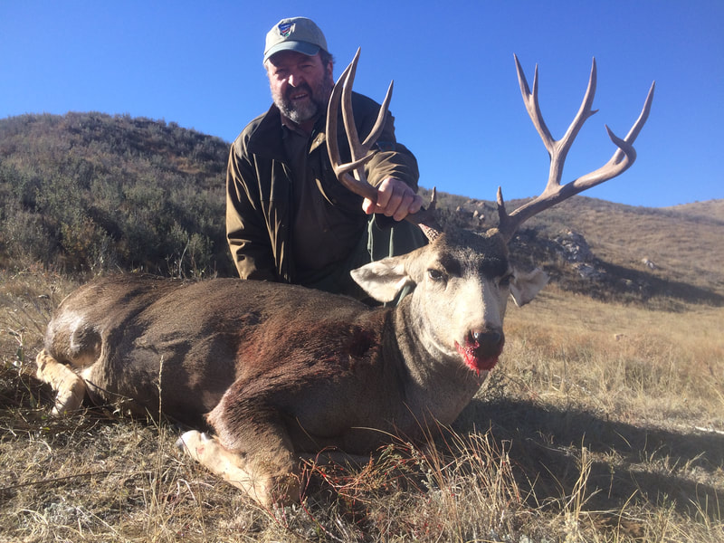 mule deer hunts private land wyoming outfitter and guides