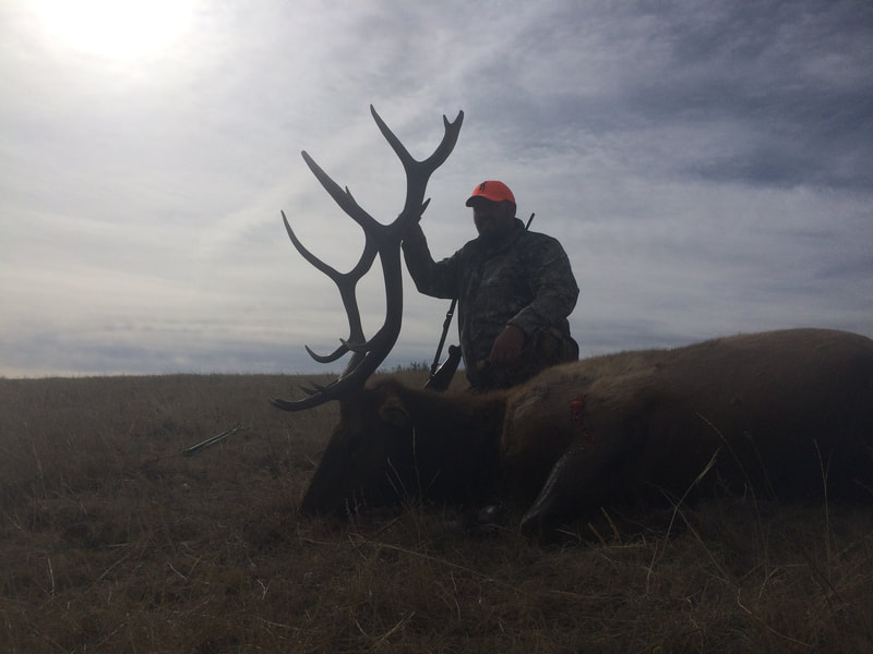 wyoming outfitters elk hunts