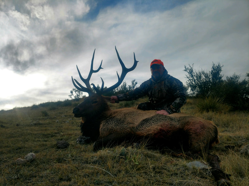 wyoming outfitter and guides elk hunts