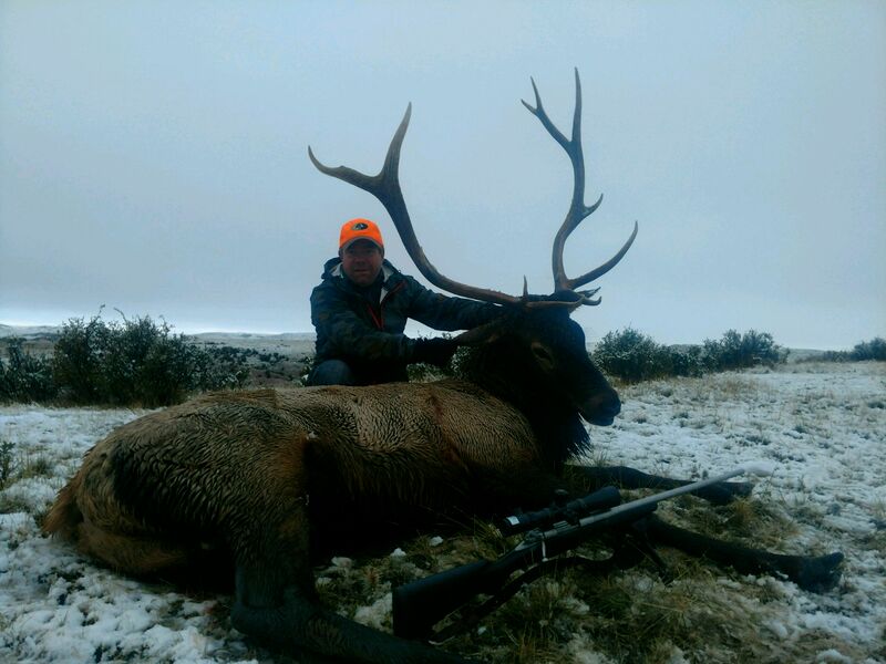 guided elk hunting