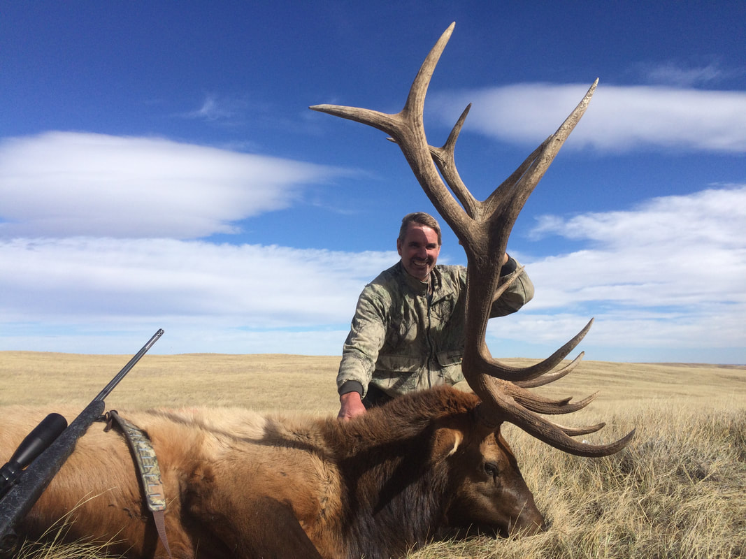 Trophy elk hunts Wyoming