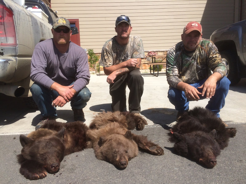 Wyoming black bear hunts