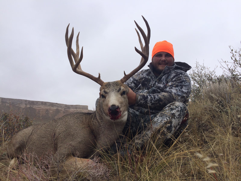 Wyoming mule deer hunts
