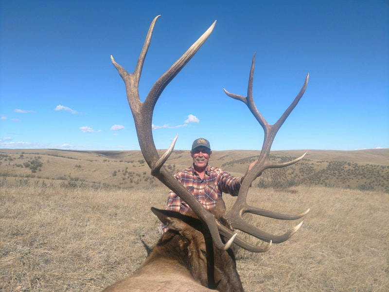 Wyoming elk hunting outfitters and guides