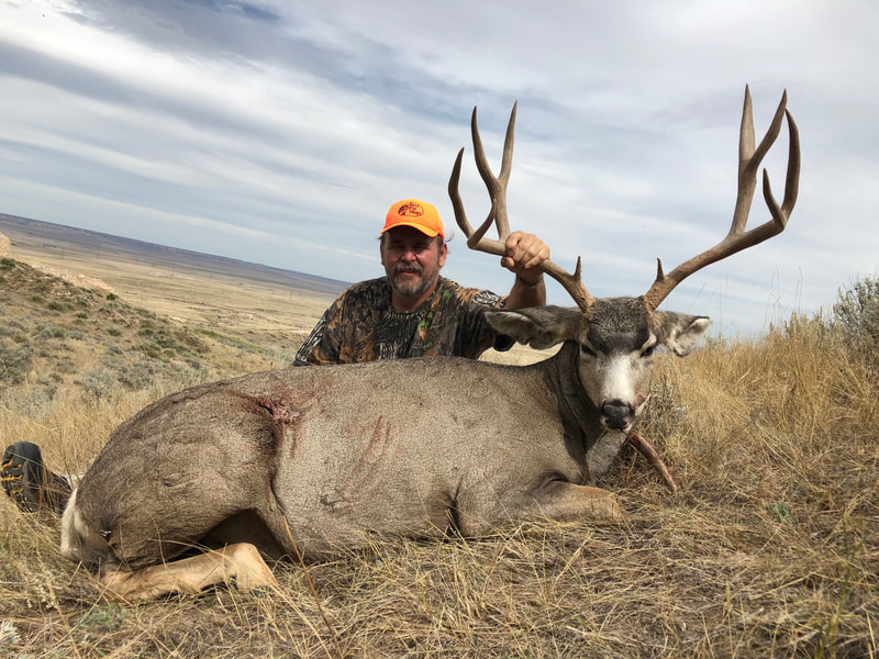 Wyoming mule deer hunts